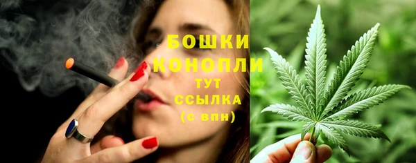 прущие грибы Абаза