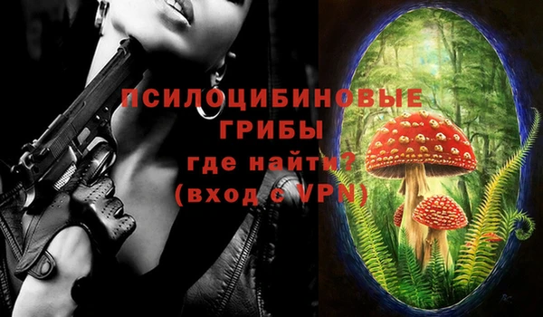 прущие грибы Абаза