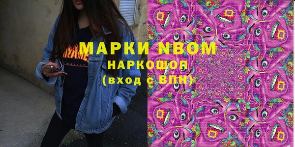 прущие грибы Абаза