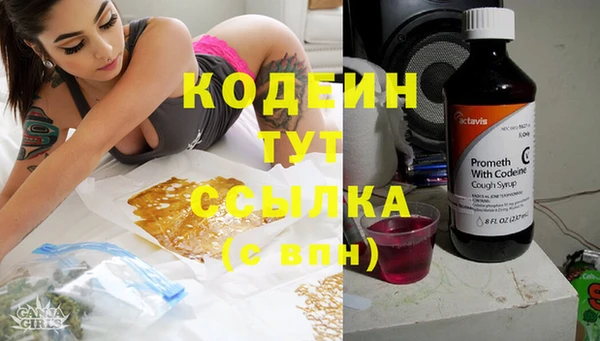 прущие грибы Абаза