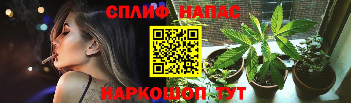Конопля сатива Партизанск